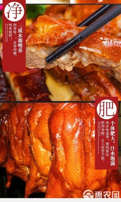 番禺區(qū)新鮮成品整只燒鴨廣州發(fā)貨